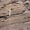  Trace fossils in the Seyahou Formation
