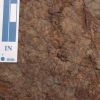  Trilobites from the upper Ordovician
