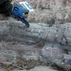 Basal conglomerate of Seyahou Formation